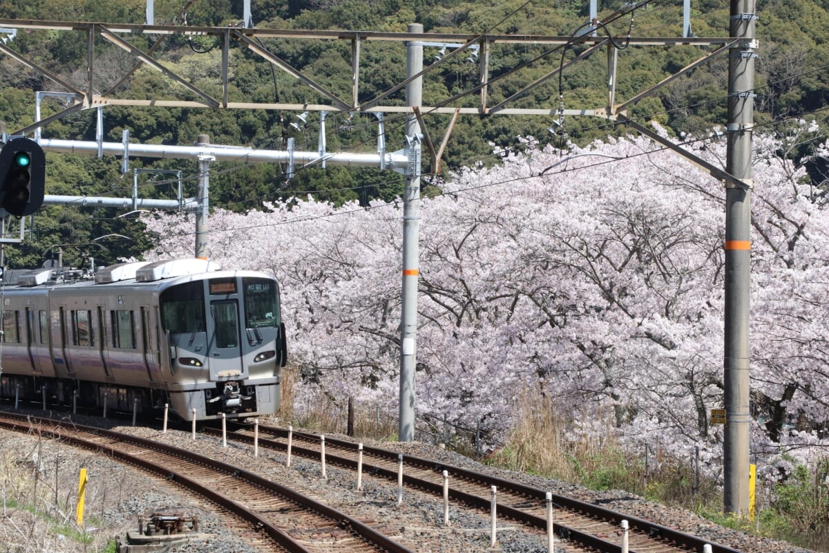 山中渓の写真 