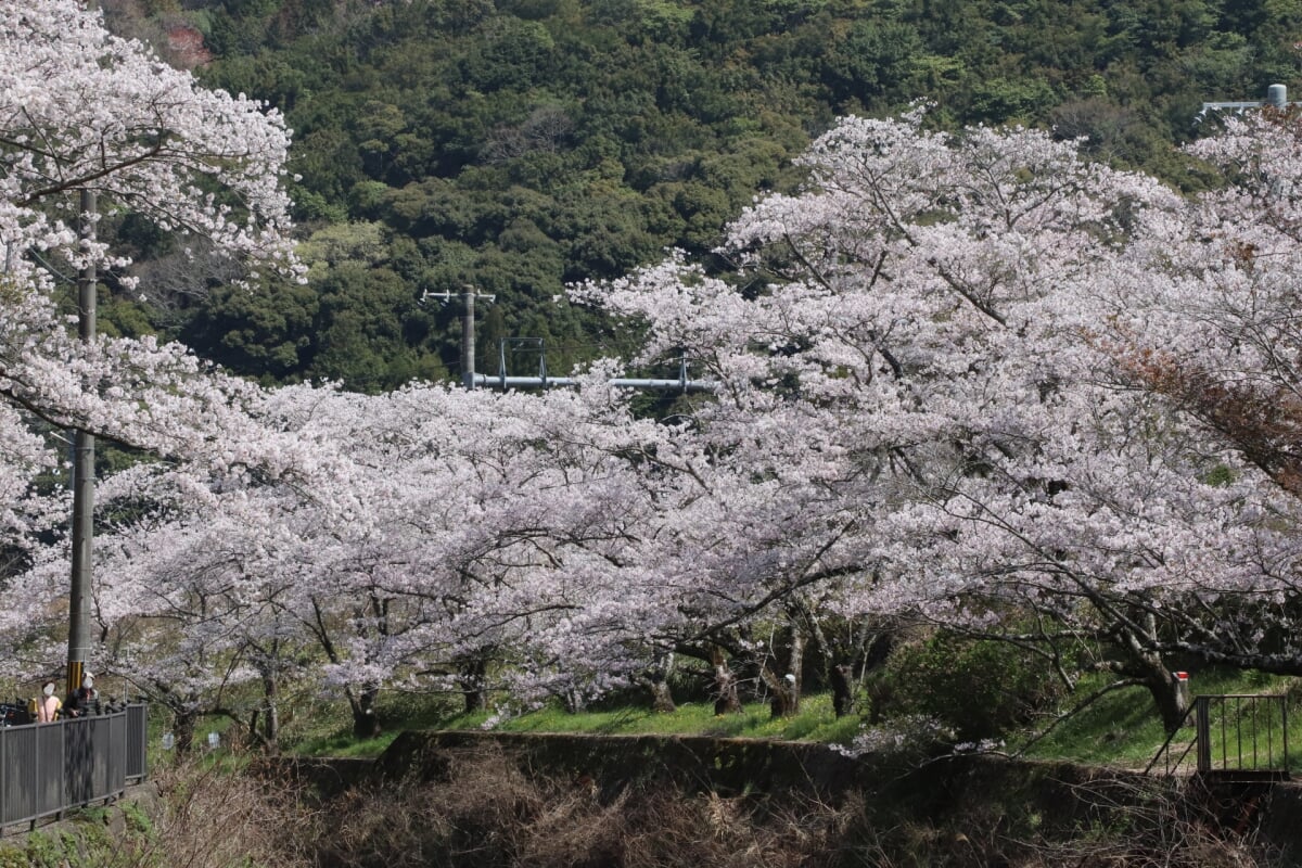 山中渓の写真 