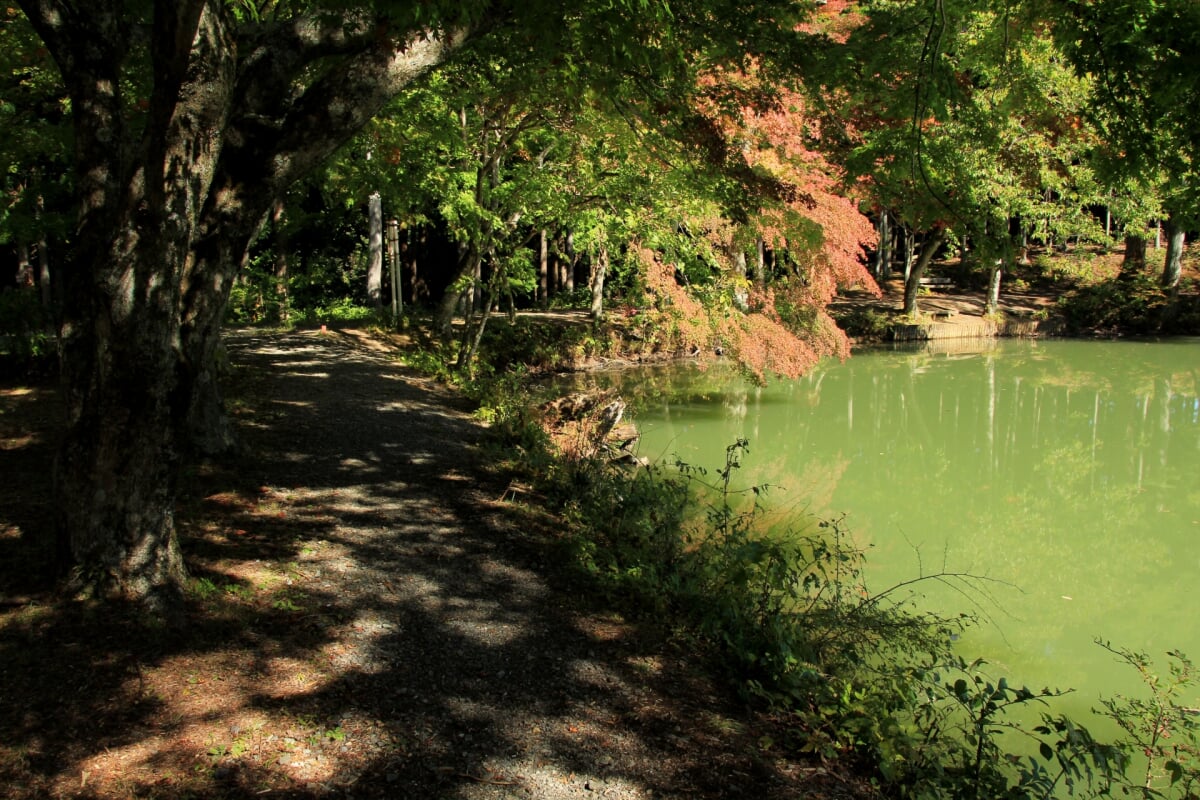 北伊奈ヶ湖 水辺公園の写真 