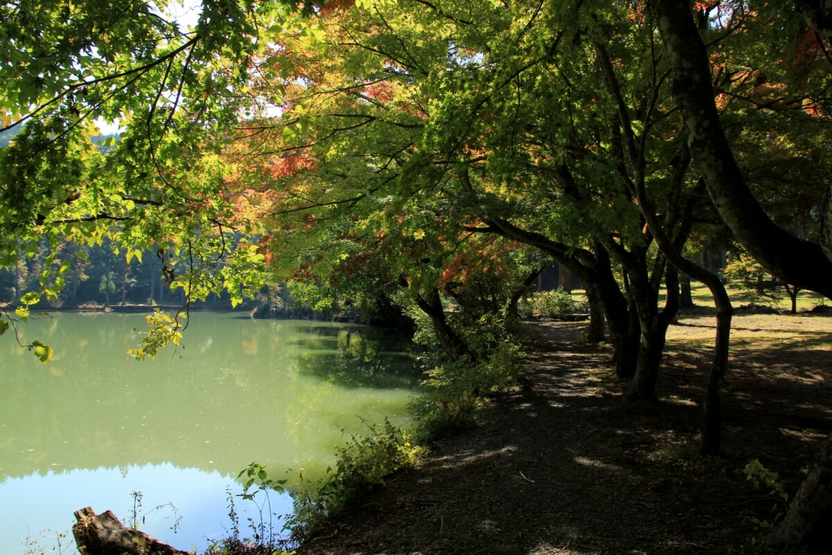 北伊奈ヶ湖 水辺公園の写真 