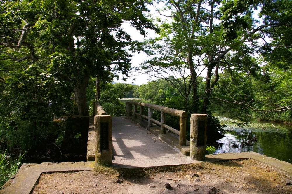 大沼国定公園の写真 