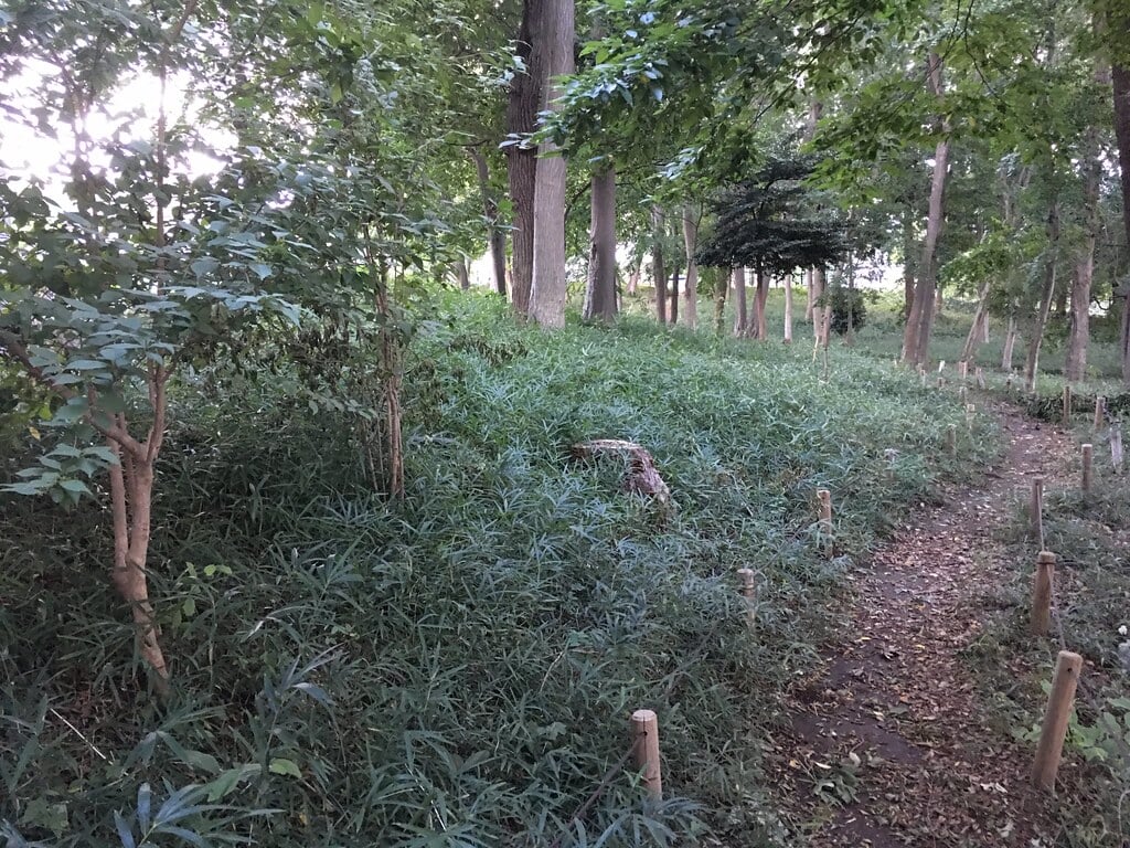 小山台遺跡公園の写真 ©Mikhail Kotykhov(CC BY 2.0)