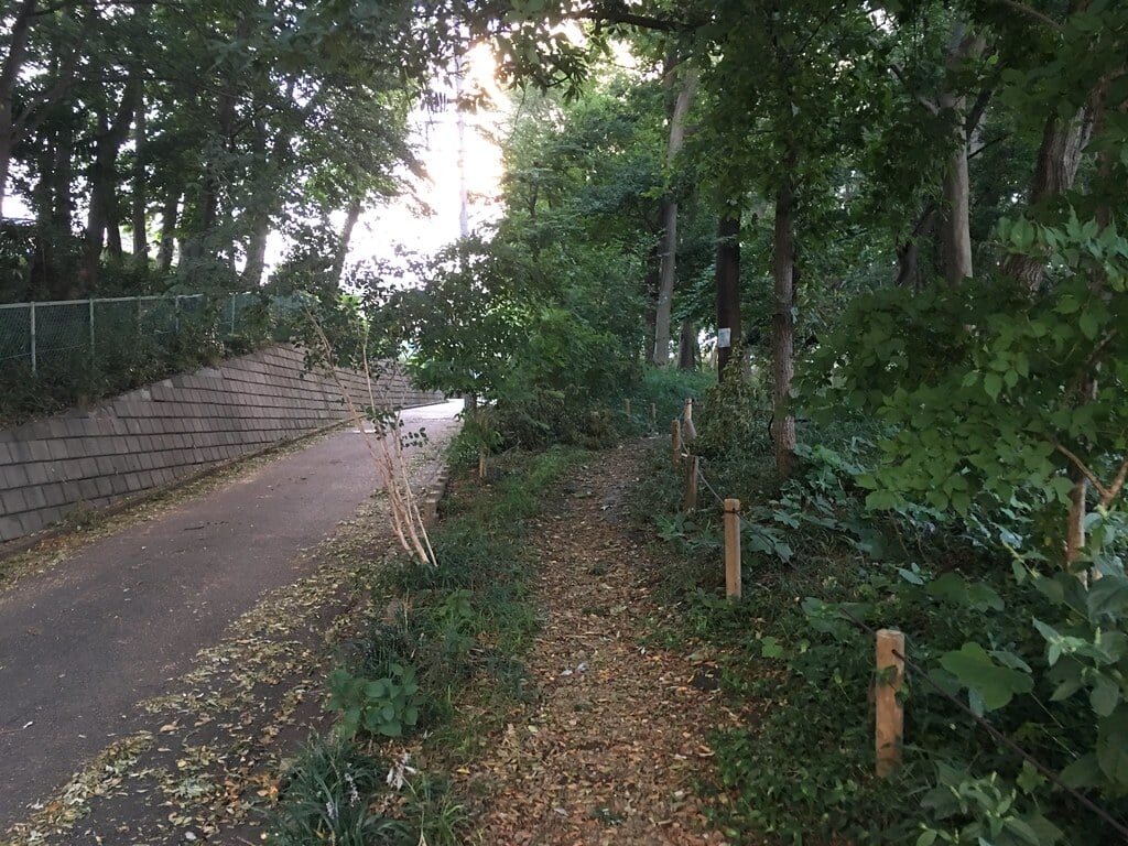 小山台遺跡公園の写真 ©Mikhail Kotykhov(CC BY 2.0)