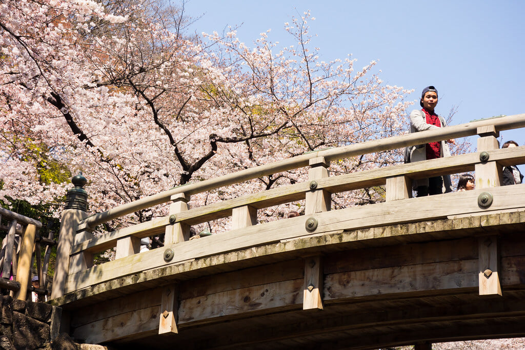 音無親水公園の写真 ©t-miki(CC BY-ND 2.0)