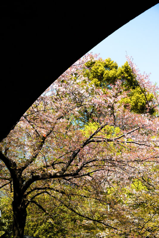 音無親水公園の写真 ©t-miki(CC BY-ND 2.0)