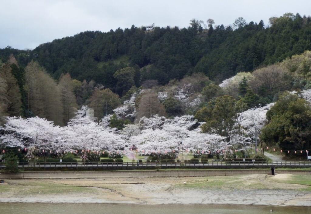 滝の宮公園の写真 ©Dokudami(CC BY-SA 4.0)