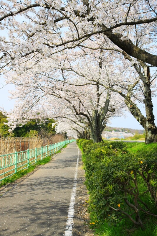 水源公園の写真 ©gundam2345(CC BY 3.0)