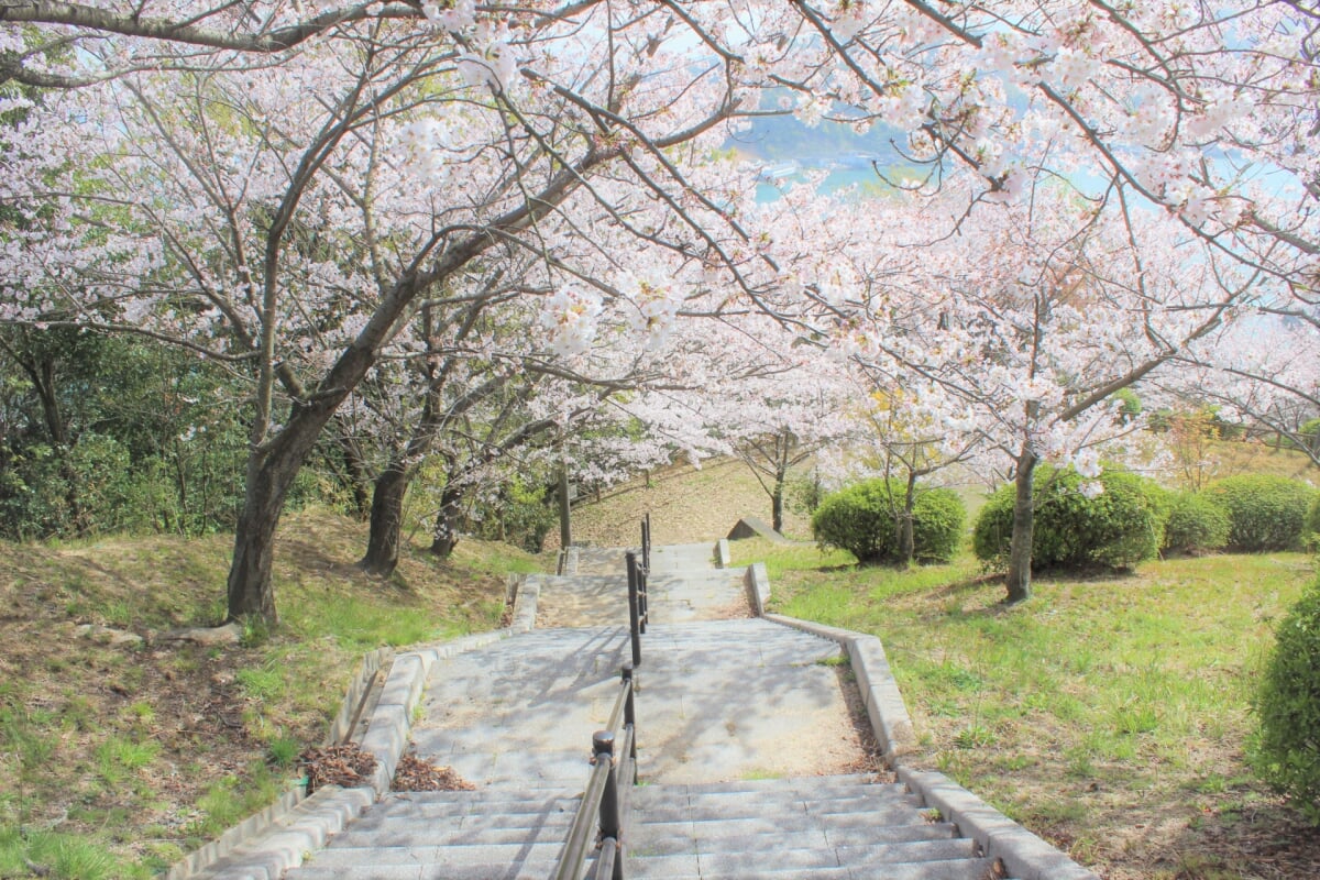 音戸の瀬戸公園の写真 