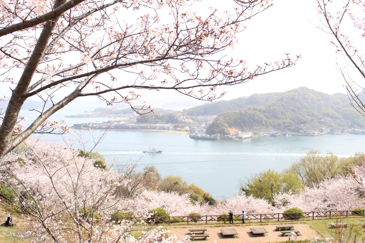 音戸の瀬戸公園の写真 