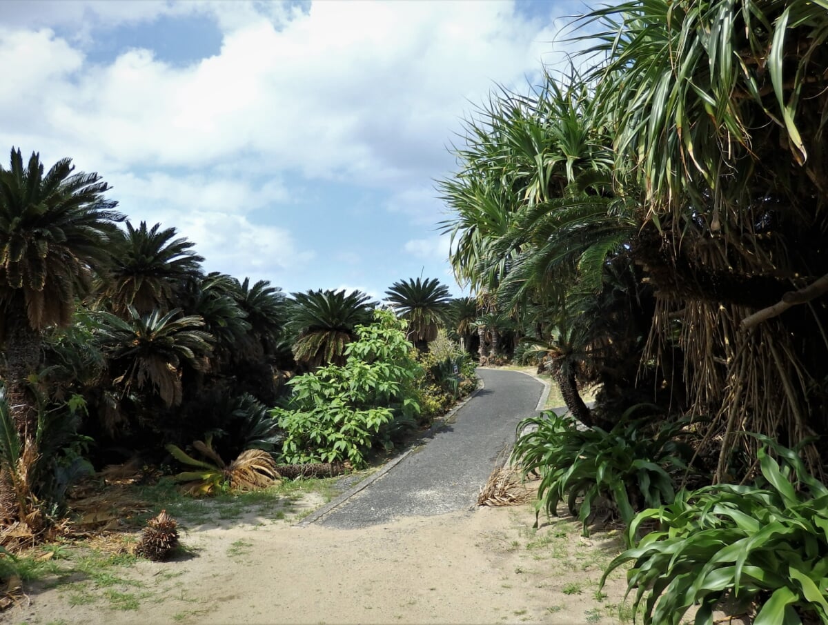 あやまる岬観光公園の写真 