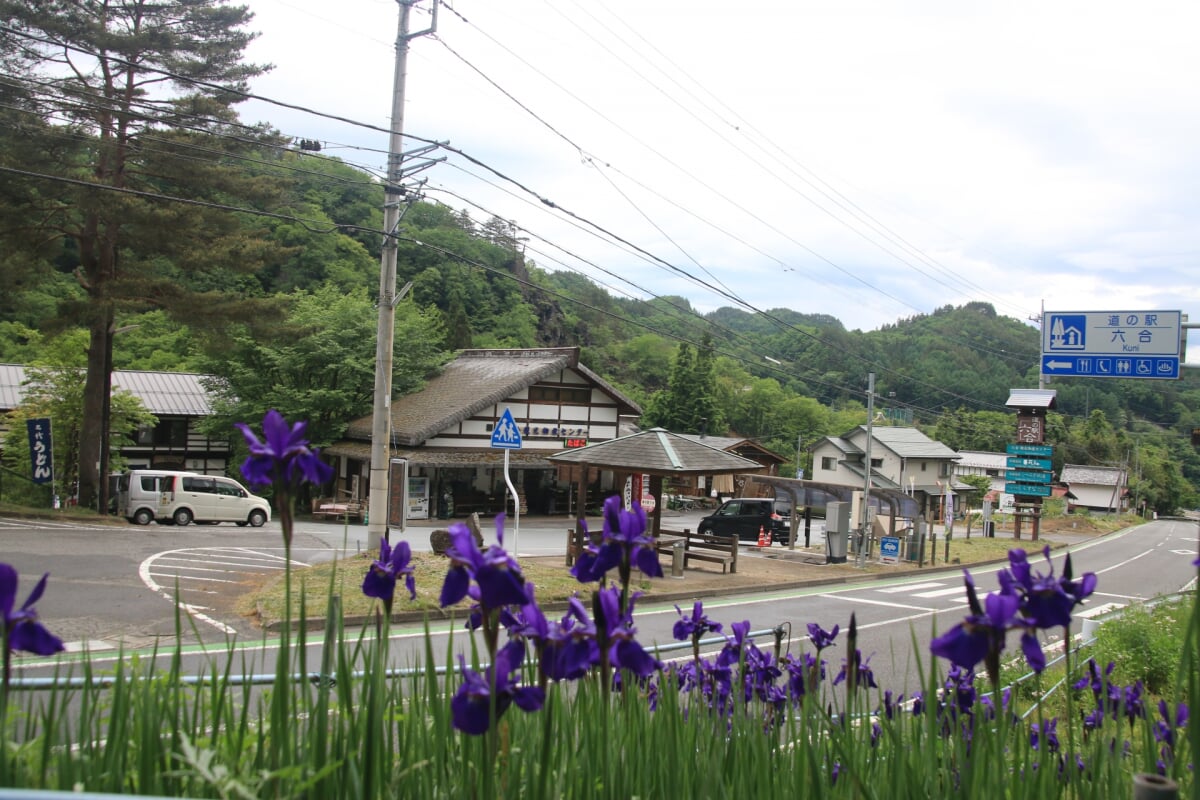 道の駅 六合の写真 