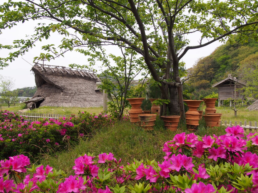 京丹後市立丹後古代の里資料館の写真 ©VinayaMoto(CC BY-SA 4.0)