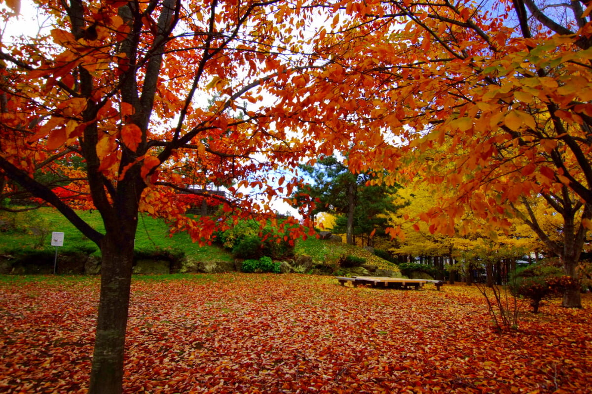 西岡公園の写真 ©t-konno(CC BY-SA 3.0)