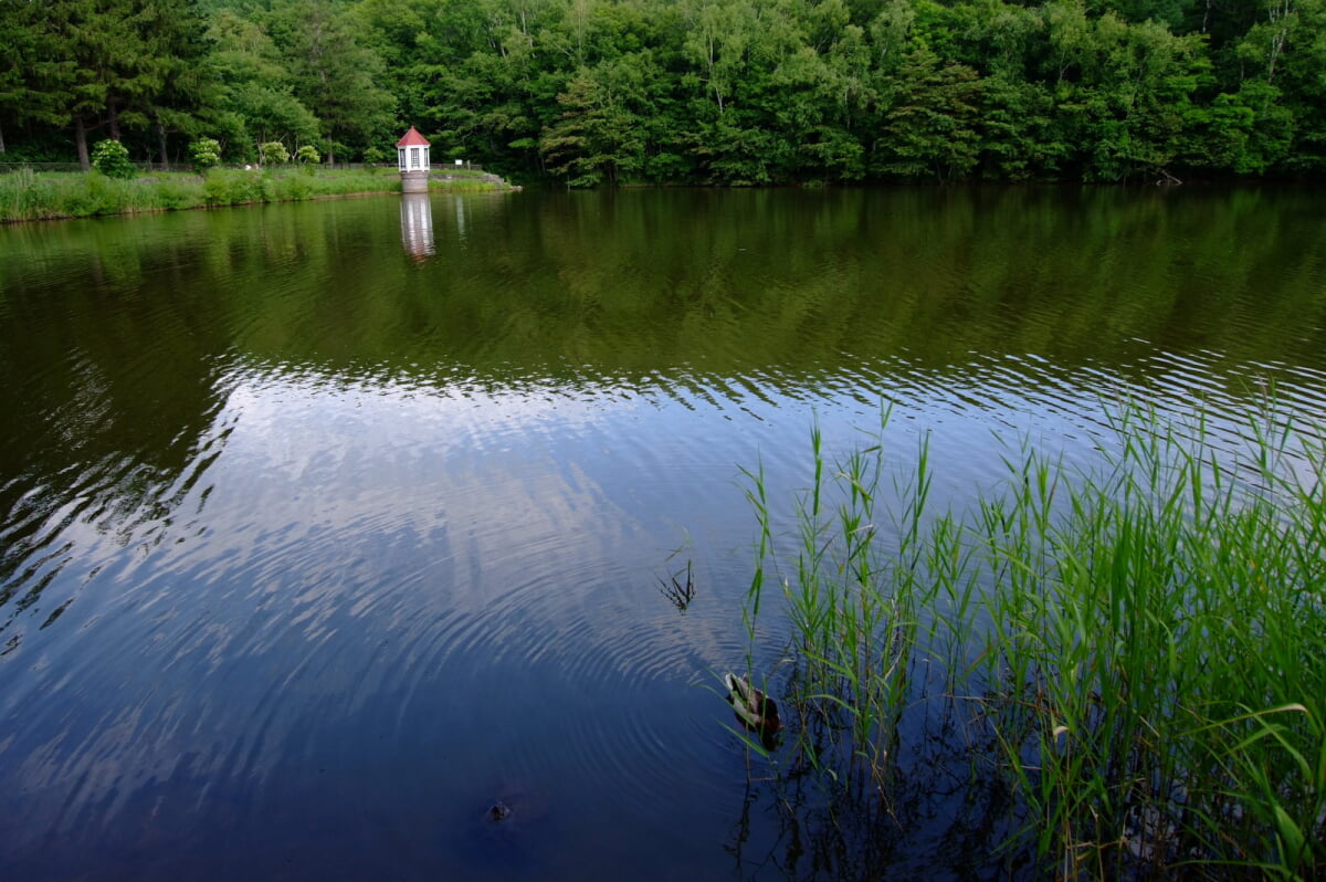 西岡公園の写真 ©t-konno(CC BY-SA 3.0)