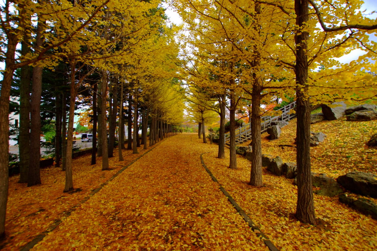 西岡公園の写真 ©t-konno(CC BY-SA 3.0)