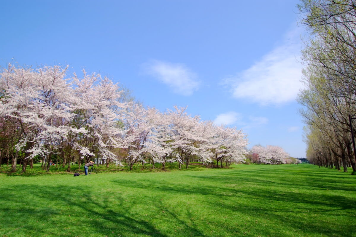 前田公園の写真 ©t-konno(CC BY-SA 3.0)