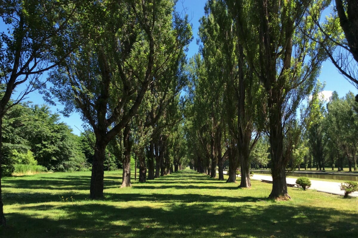 前田公園の写真 ©t-konno(CC BY-SA 3.0)