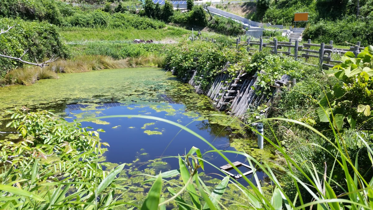 高山竹林園の写真 ©Mylover4(CC BY-SA 4.0)