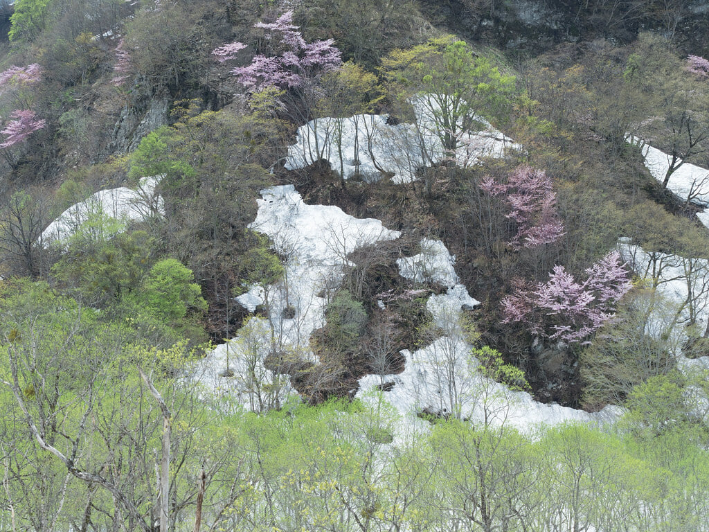 雨飾高原キャンプ場の写真 ©wakaba-shinshu(CC BY 2.0)