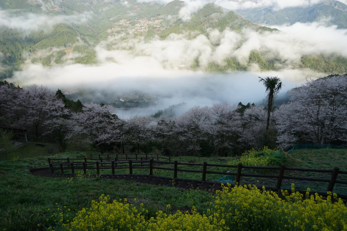 ひょうたん桜公園の写真 ©r18 INO (PACHIMO)(CC BY 3.0)