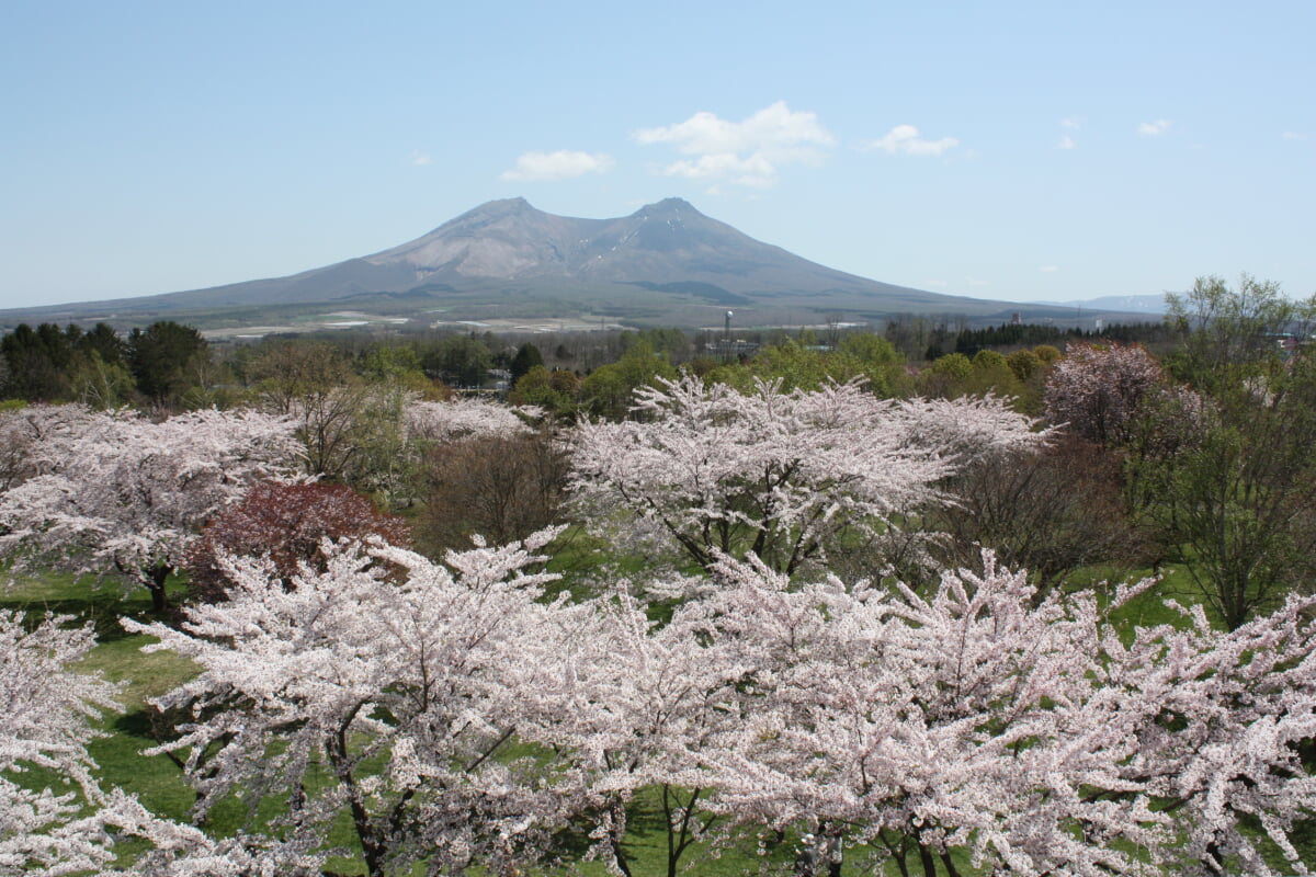 オニウシ公園の写真 ©Hkdmoritown(CC BY 4.0)