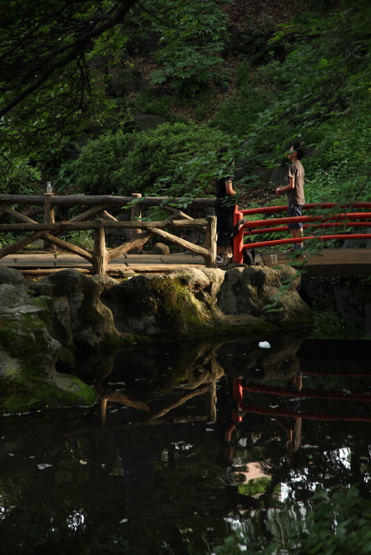 須藤公園の写真 ©mrhayata(CC BY-SA 2.0)