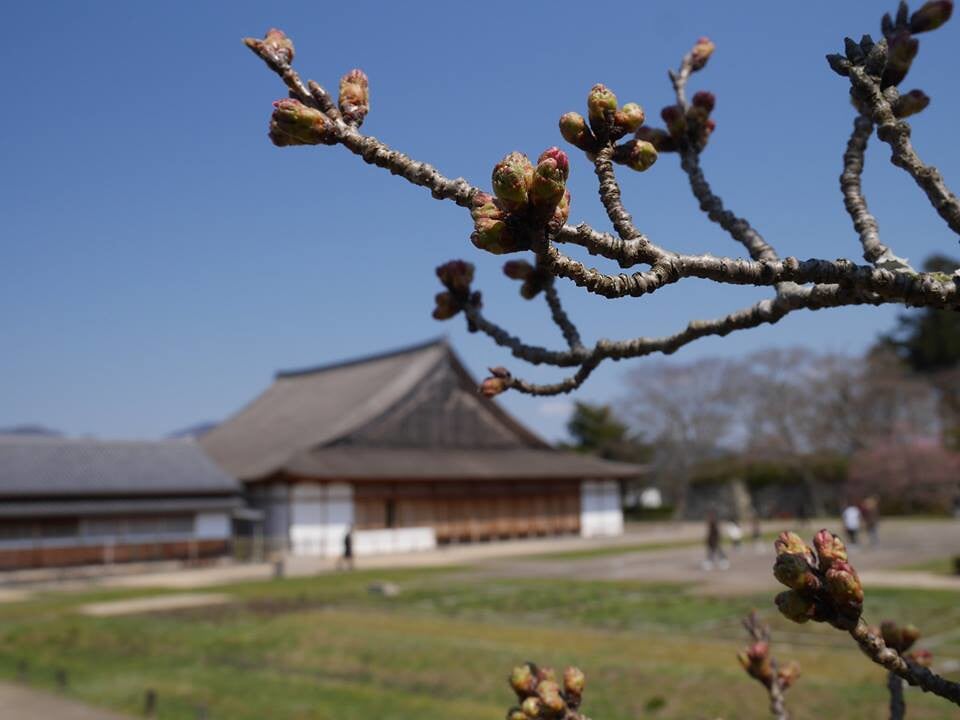 篠山城跡の写真 ©sukitamba(CC BY 2.0)