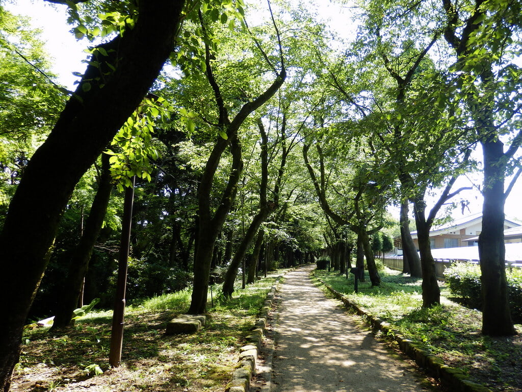 高岡古城公園の写真 ©izunavi(CC BY 2.0)