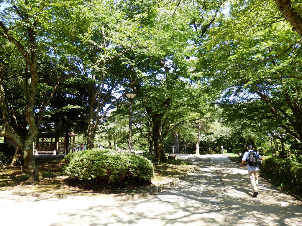 高岡古城公園の写真 ©izunavi(CC BY 2.0)