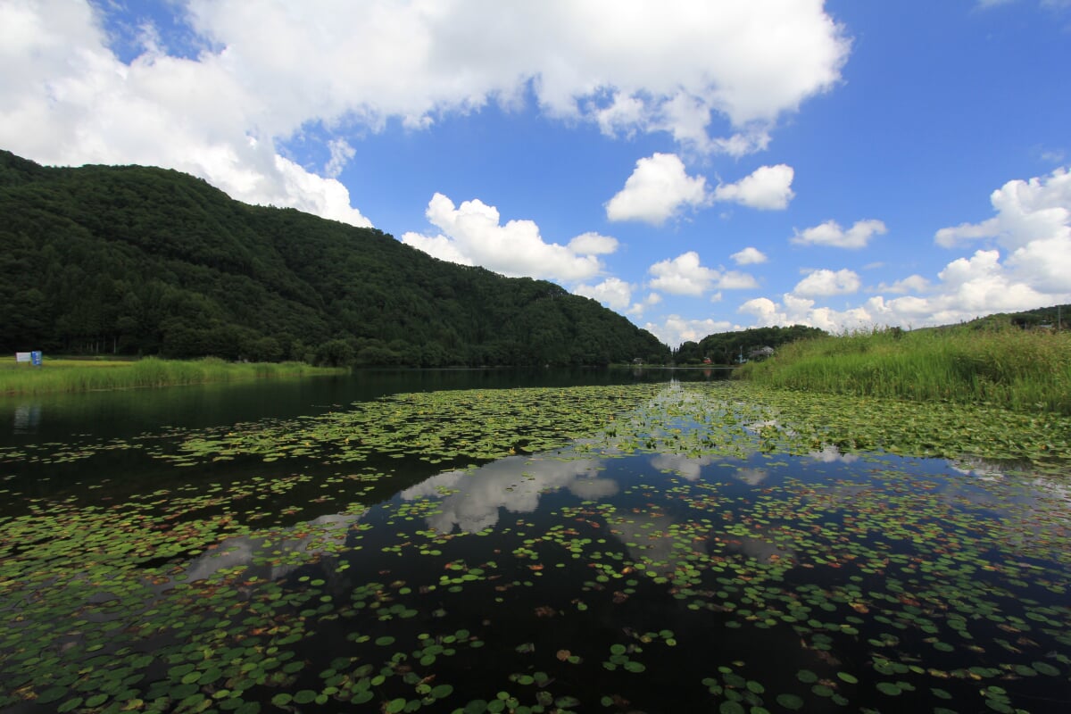 中綱湖の写真 ©くろふね(CC BY 3.0)