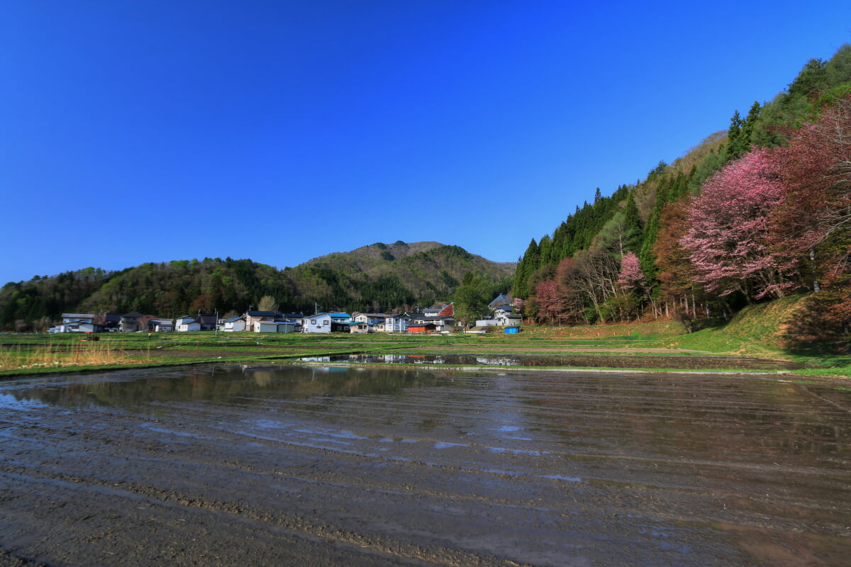 中綱湖の写真 ©くろふね(CC BY 3.0)