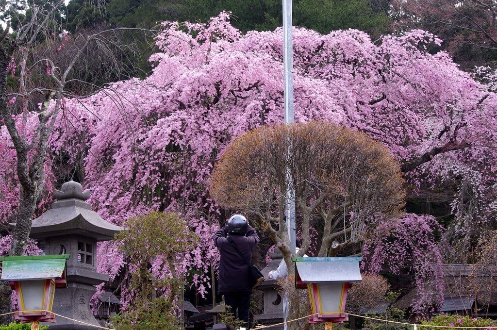 妙関寺の写真 ©bluXgraphics(motorcycle design Japan)=Midorikawa(CC BY-SA 2.0)