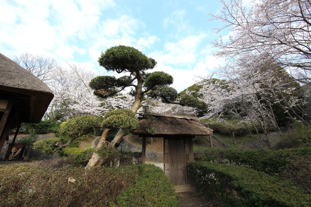 太田山公園の写真 ©TANAKA Juuyoh (田中十洋)(CC BY 2.0)