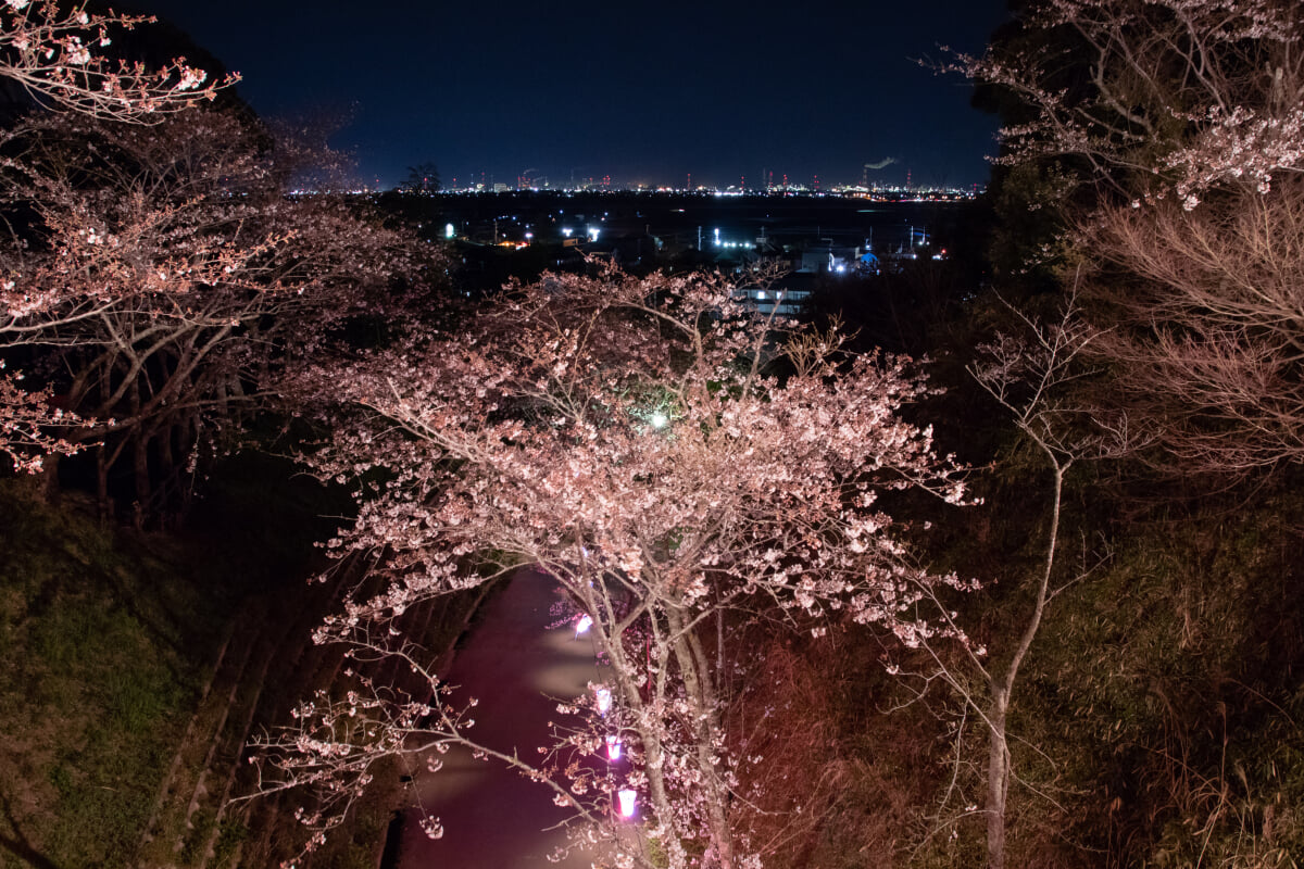 小見川城山公園の写真 ©Σ64(CC BY 4.0)