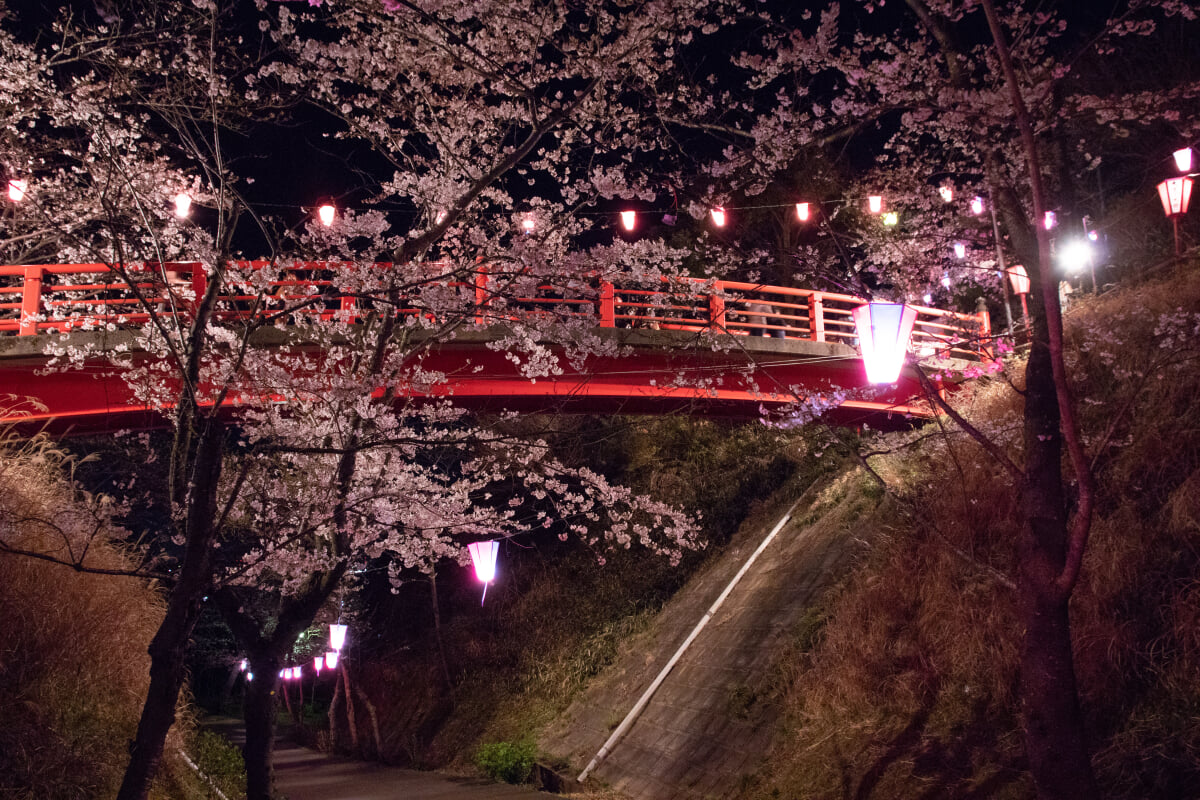 小見川城山公園の写真 ©Σ64(CC BY 4.0)