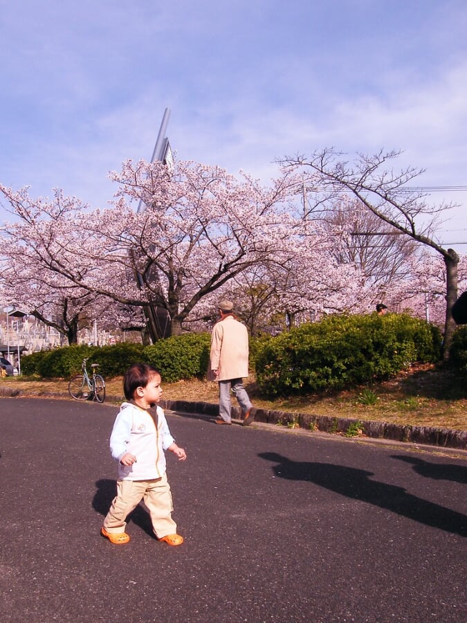 平和公園の写真 ©emrank(CC BY 2.0)