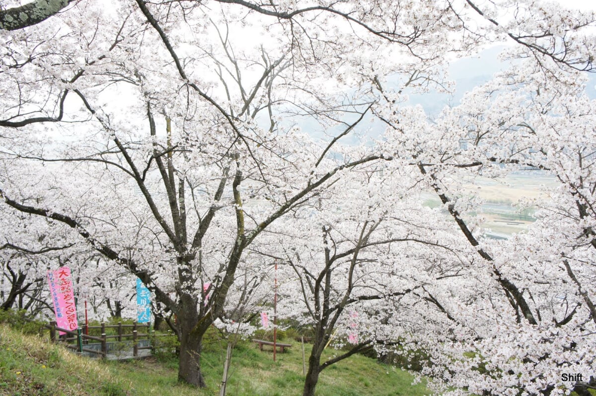 大法師公園の写真 ©Shift(CC BY-SA 3.0)