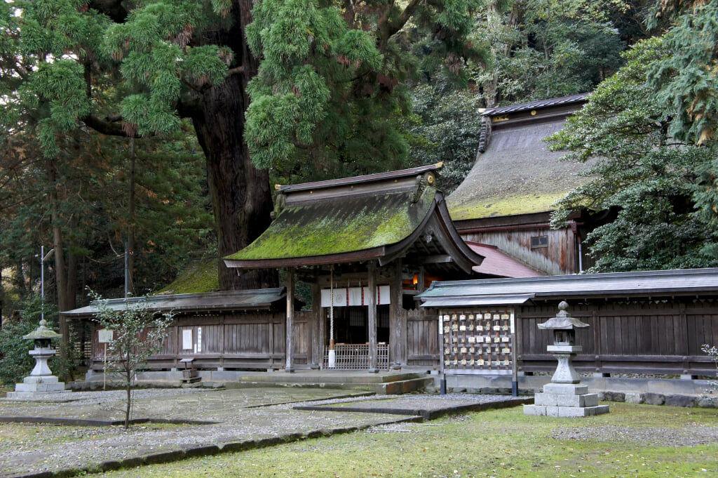 若狭姫神社の写真 ©663highland(CC-BY-SA-3.0)