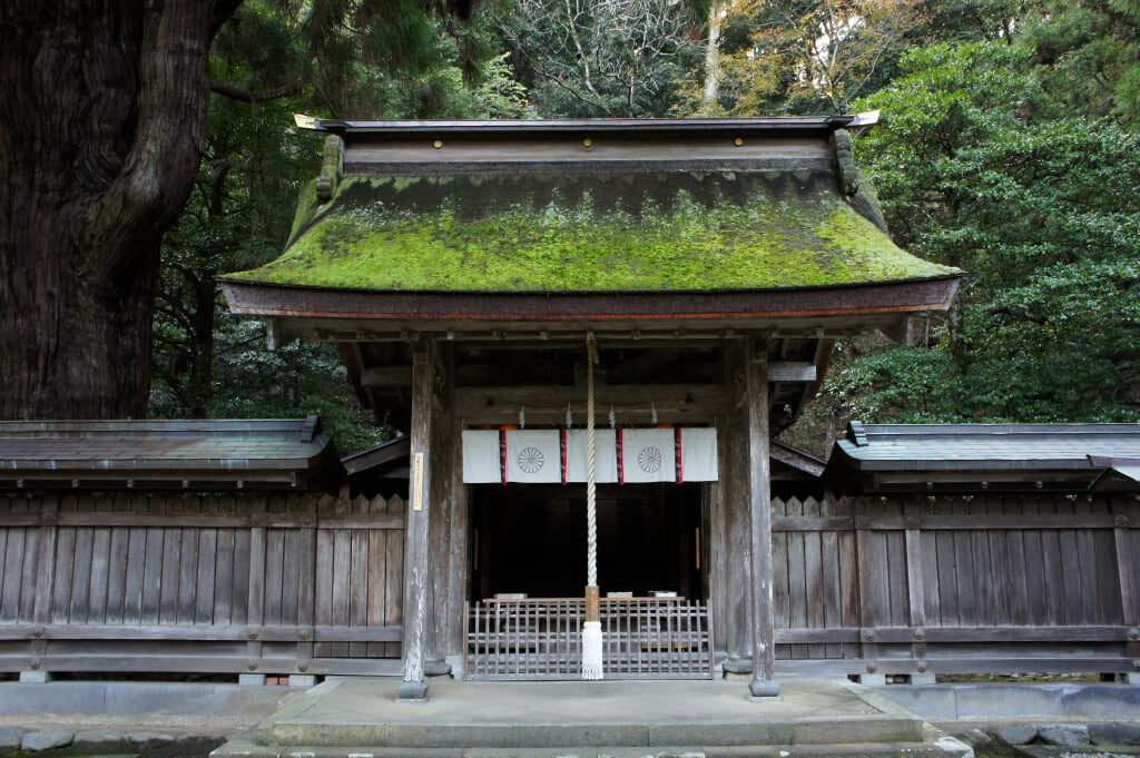 若狭姫神社の写真 ©663highland(CC-BY-SA-3.0)