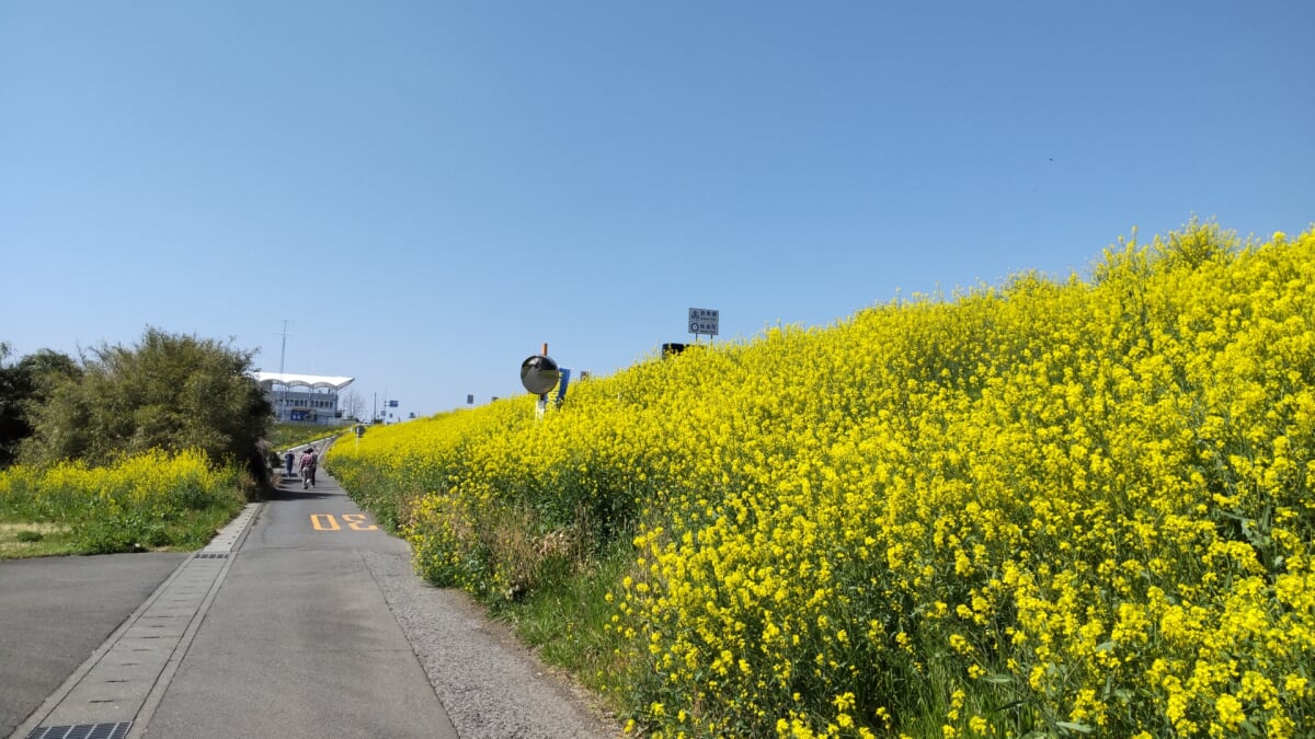 道の駅かぞわたらせの写真 