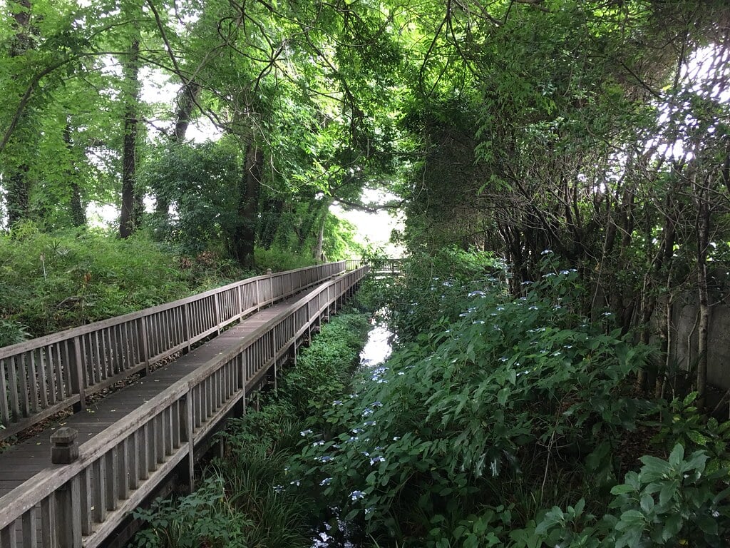 清瀬せせらぎ公園の写真 ©Mikhail Kotykhov(CC BY 2.0)