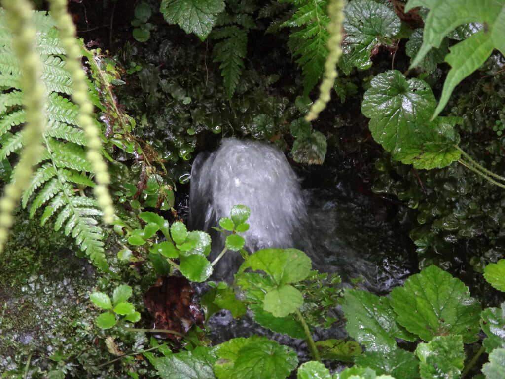 杜々の森名水公園の写真 ©trini(CC BY 4.0)