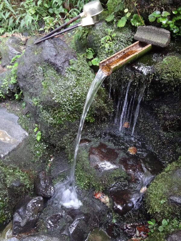 杜々の森名水公園の写真 ©trini(CC BY 4.0)