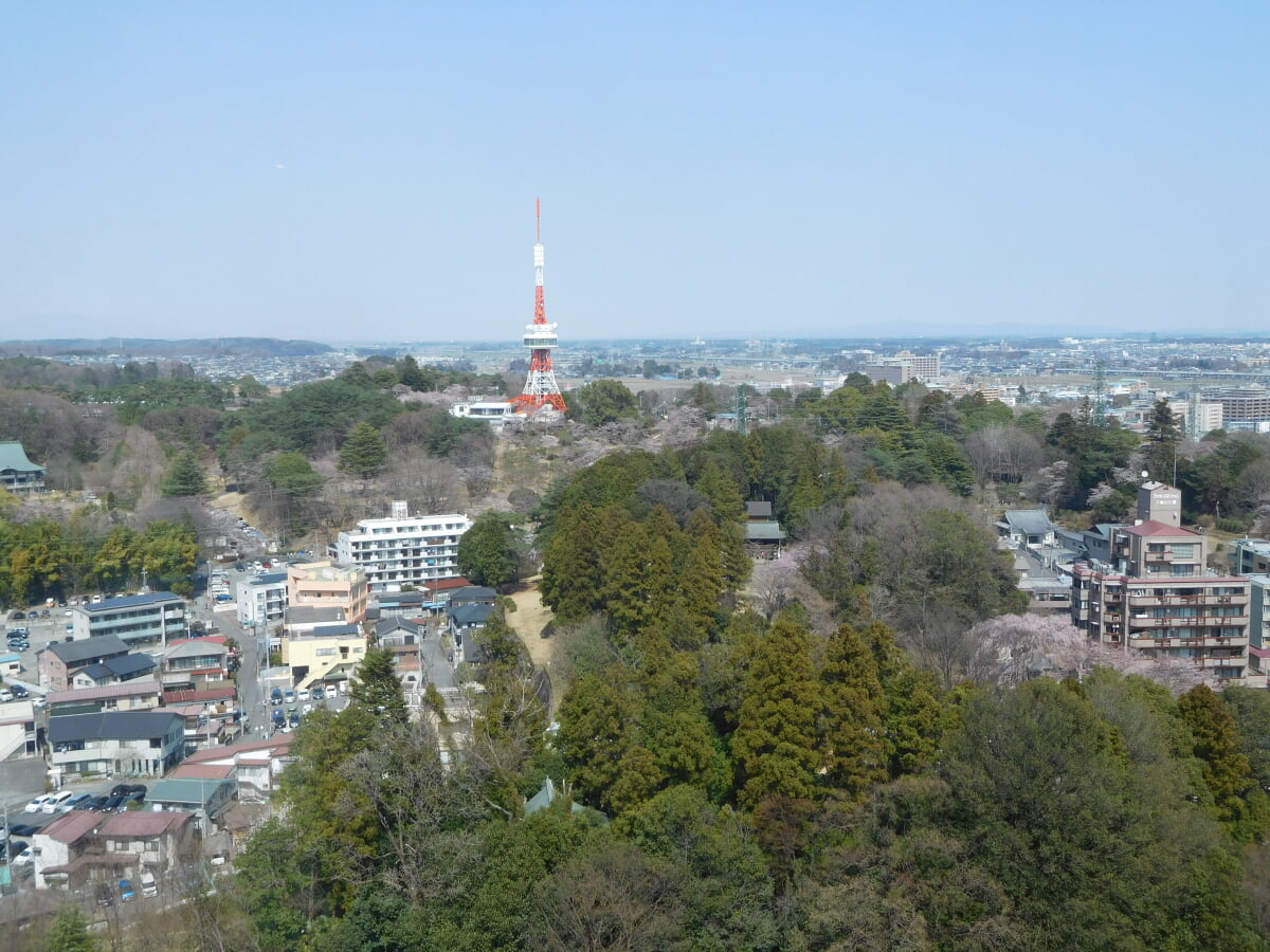 栃木県庁 15階展望ロビーの写真 ©Miyuki(CC BY-SA 4.0)