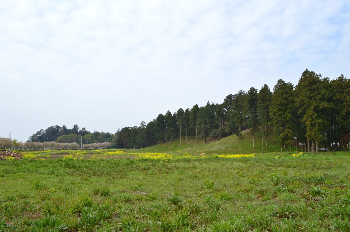 琵琶塚古墳の写真 ©Saigen(CC0)