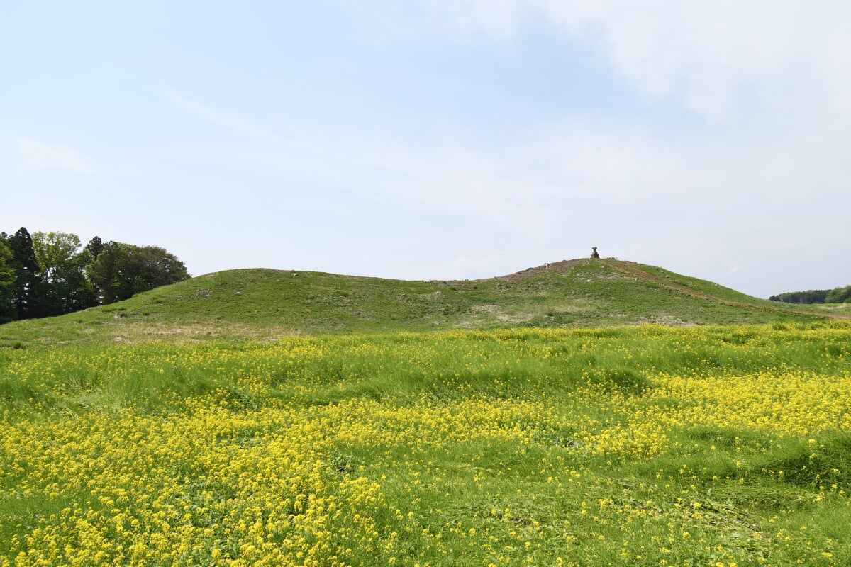 琵琶塚古墳の写真 ©Saigen(CC0)