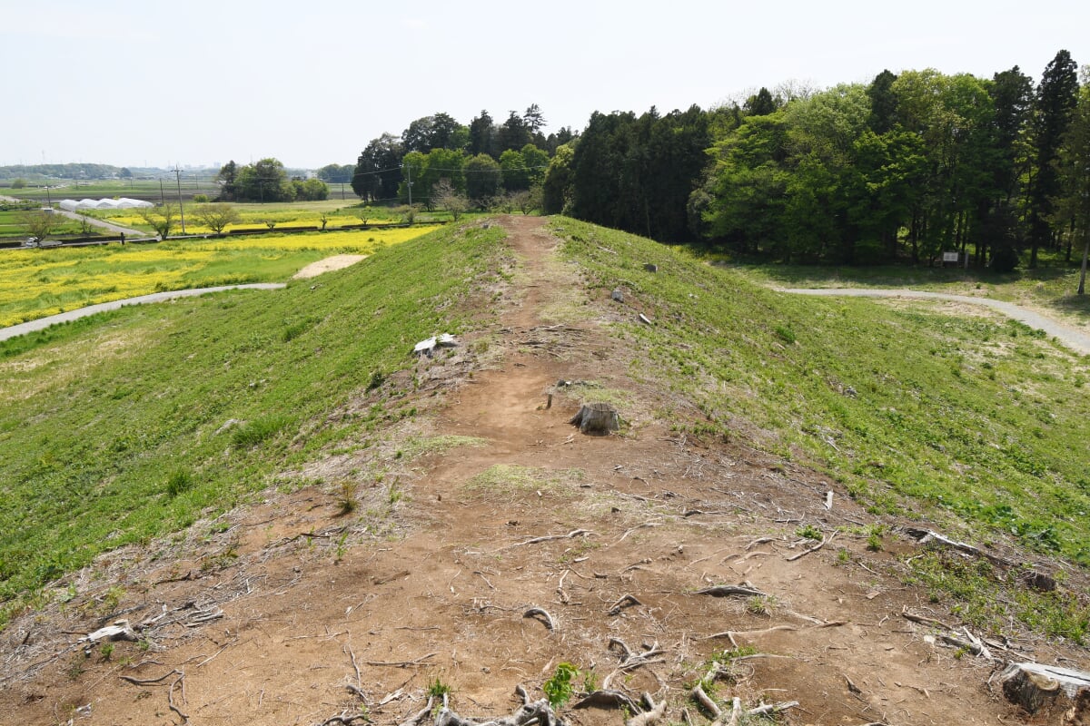 琵琶塚古墳の写真 ©Saigen(CC0)