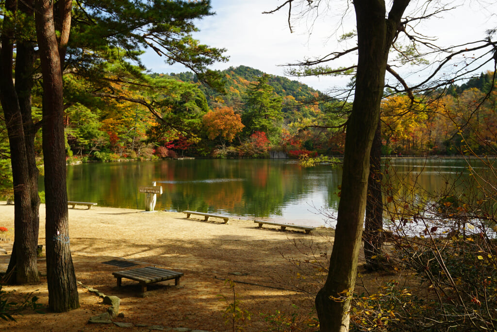 再度公園の写真 ©663highland(CC BY-SA 4.0)