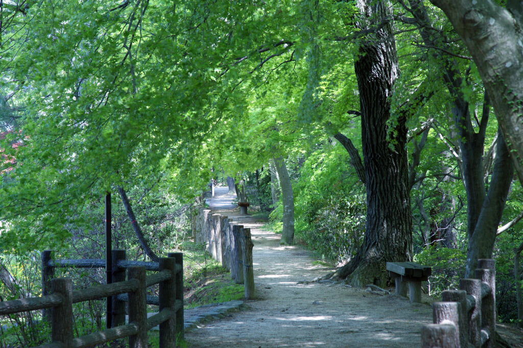 再度公園の写真 ©663highland(CC-BY-SA-3.0)