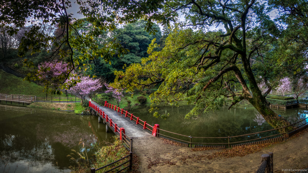 亀山公園の写真 ©carloshonda(CC BY 3.0)